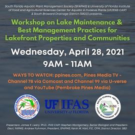 Lake Presentation Social Media Flyer_web