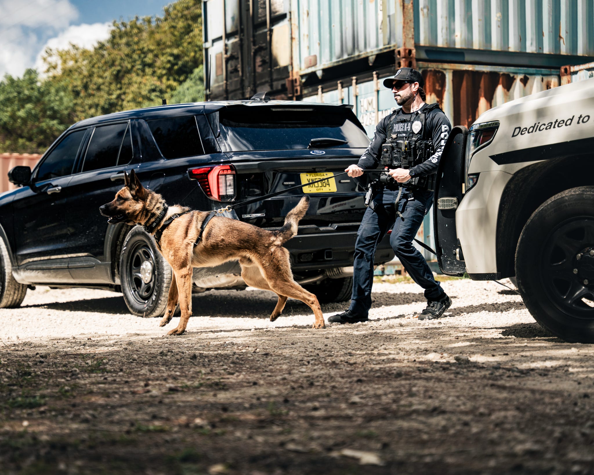 K-9 Otto