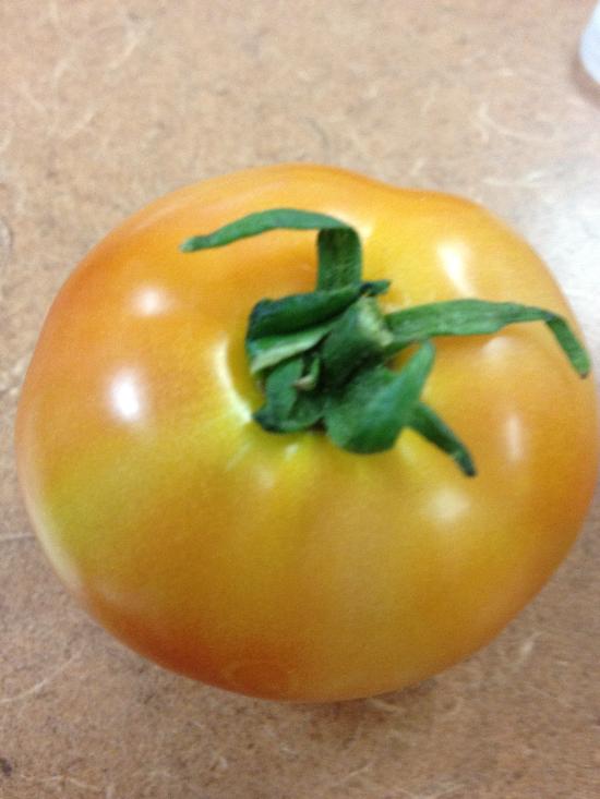 Tomato